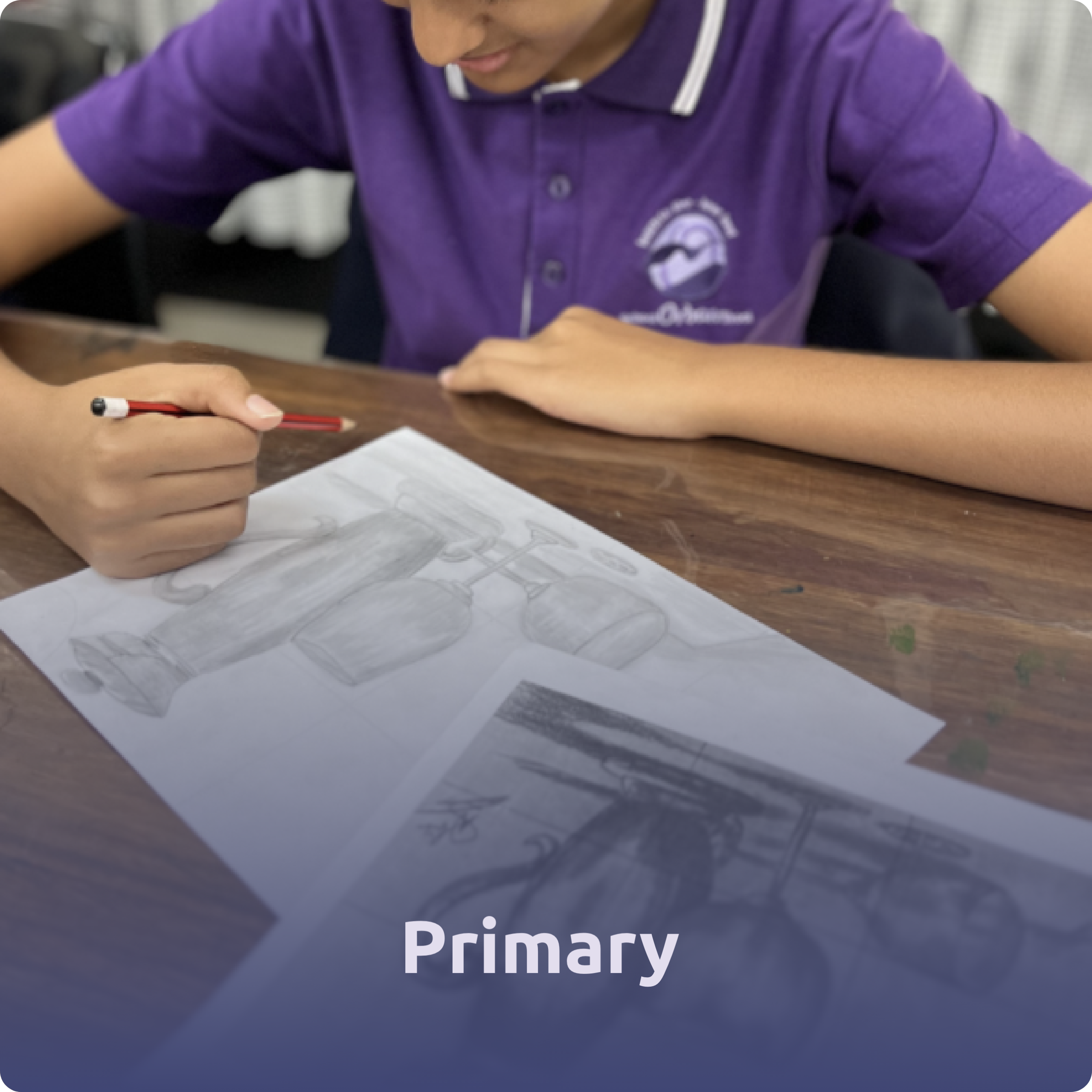 Primary